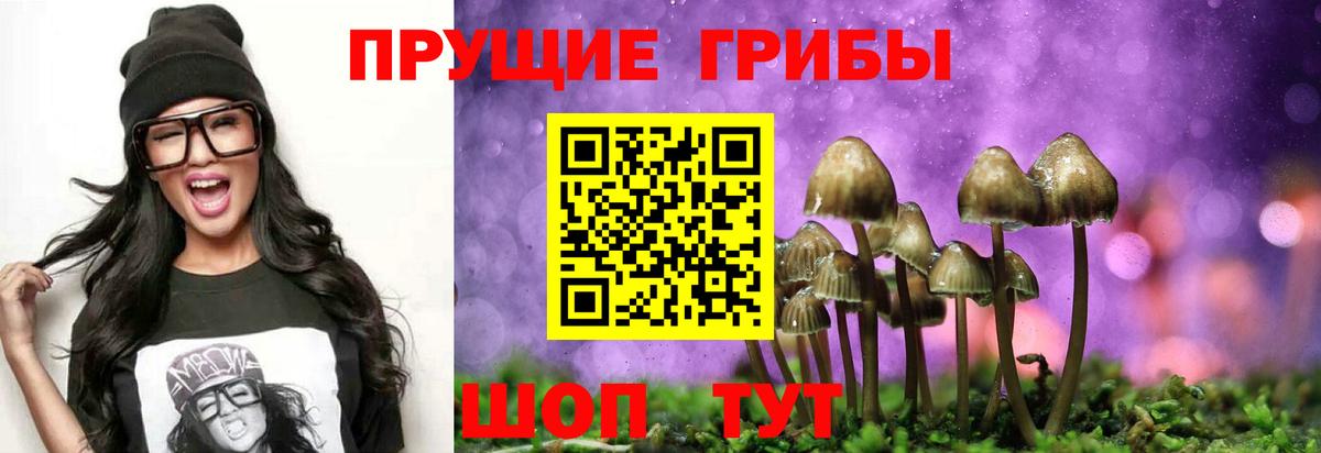 Сатка  Псилоцибиновые грибы MAGIC MUSHROOMS  купить наркоту  Вход с VPN 